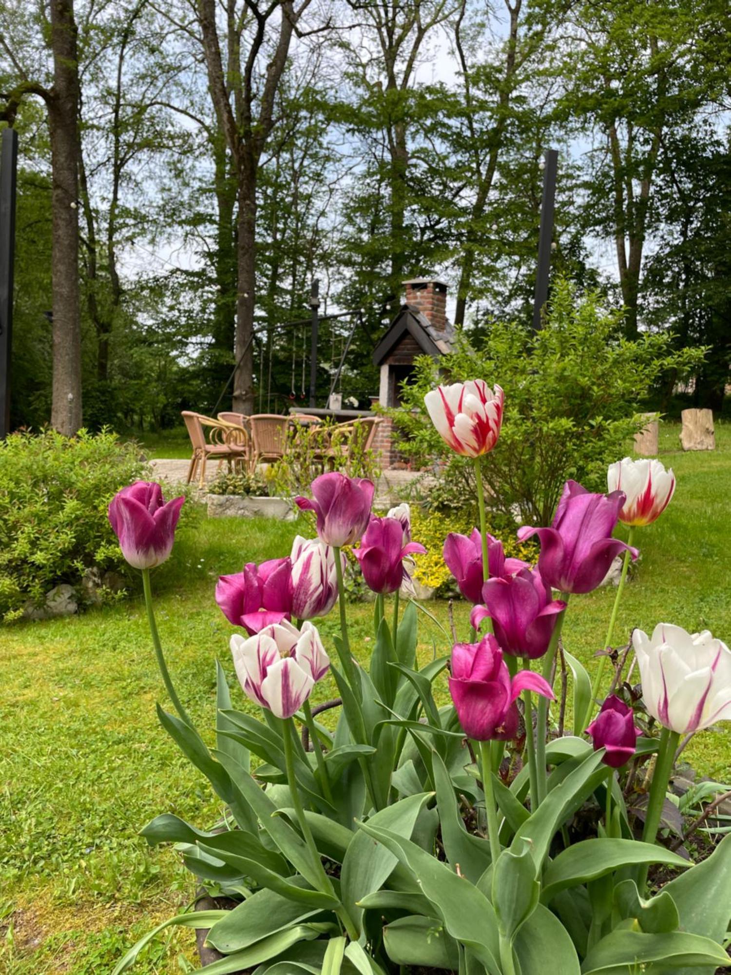 La Villa Emilie Durbuy Eksteriør bilde